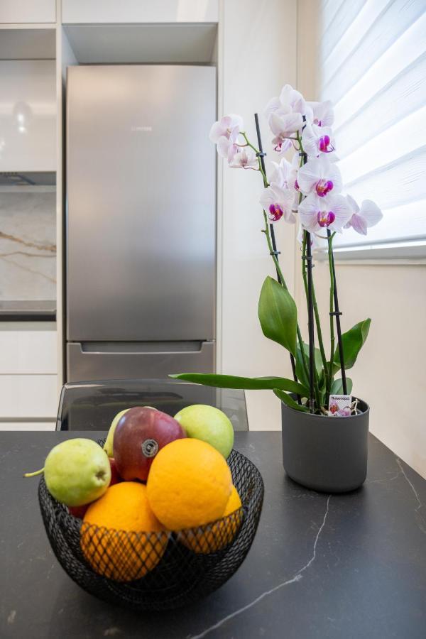 Acropolis Cozy Apartments أثينا المظهر الخارجي الصورة